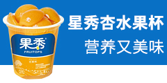 湖南果秀食品有限公司