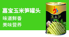 廣西嘉寶食品集團有限公司