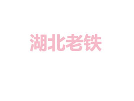 FƼ޹˾