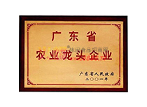 2001-2021V|ʡ^I(y)