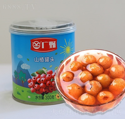 VҰɽ髹^300