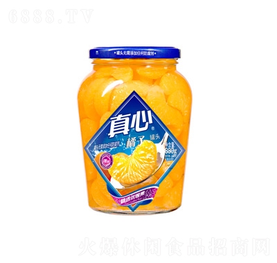 Ƭ۹^880g