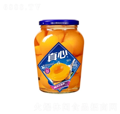 ӹ^880g