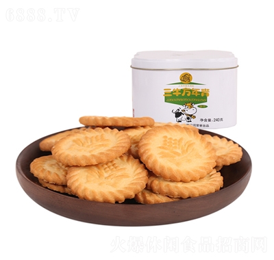 ţf240g