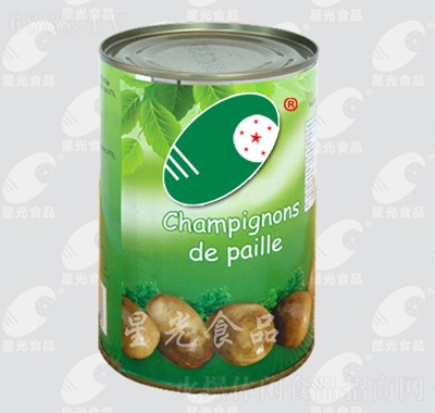 ǹݹ^