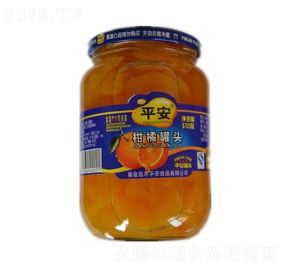 ƽٹ^510g