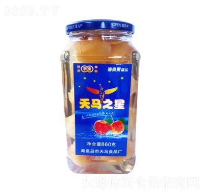 RĹ^860g