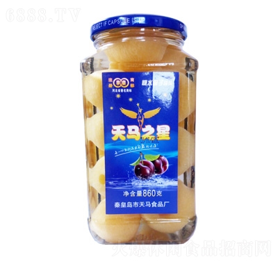 Rӹ^860g