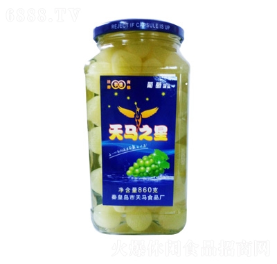 Rѹ^860g
