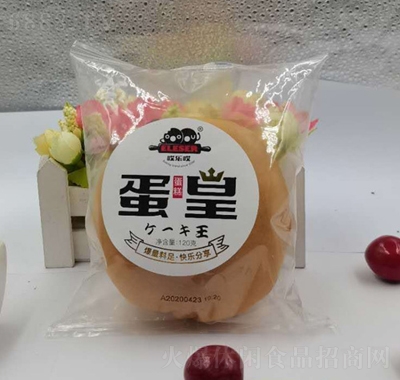 ˼εS120g