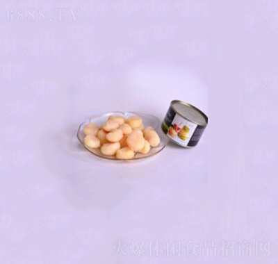 ƽ͌R^eʳ